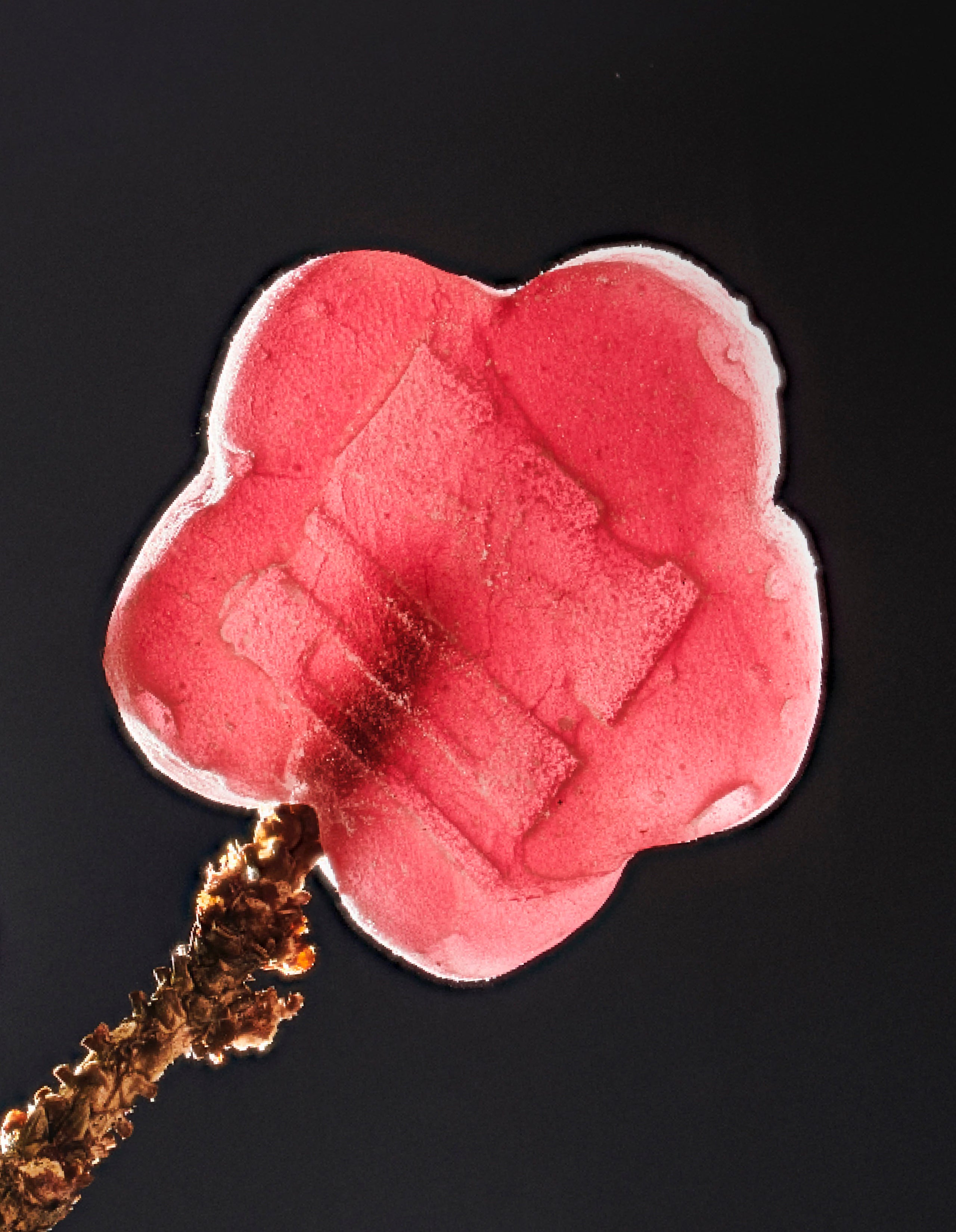 Close-up of Sundae School Lychee Dragon Mochi gummy with a Lychee fruit stem against a dark grey background