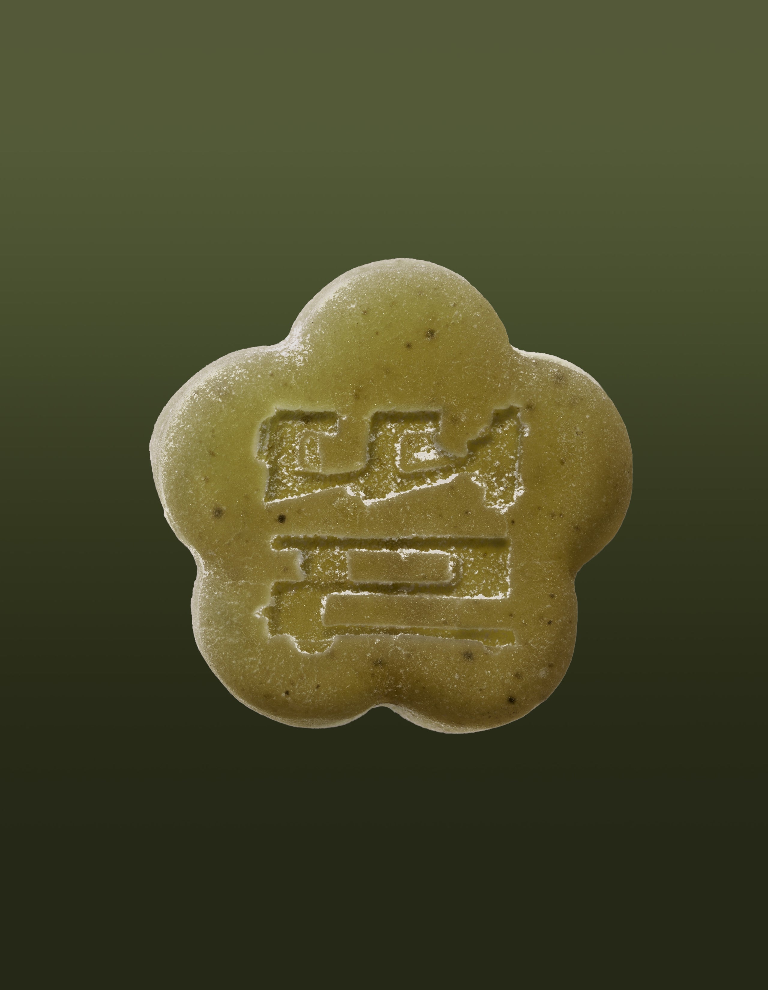 An image of a Matcha gummy on a gradient background going green to dark green.