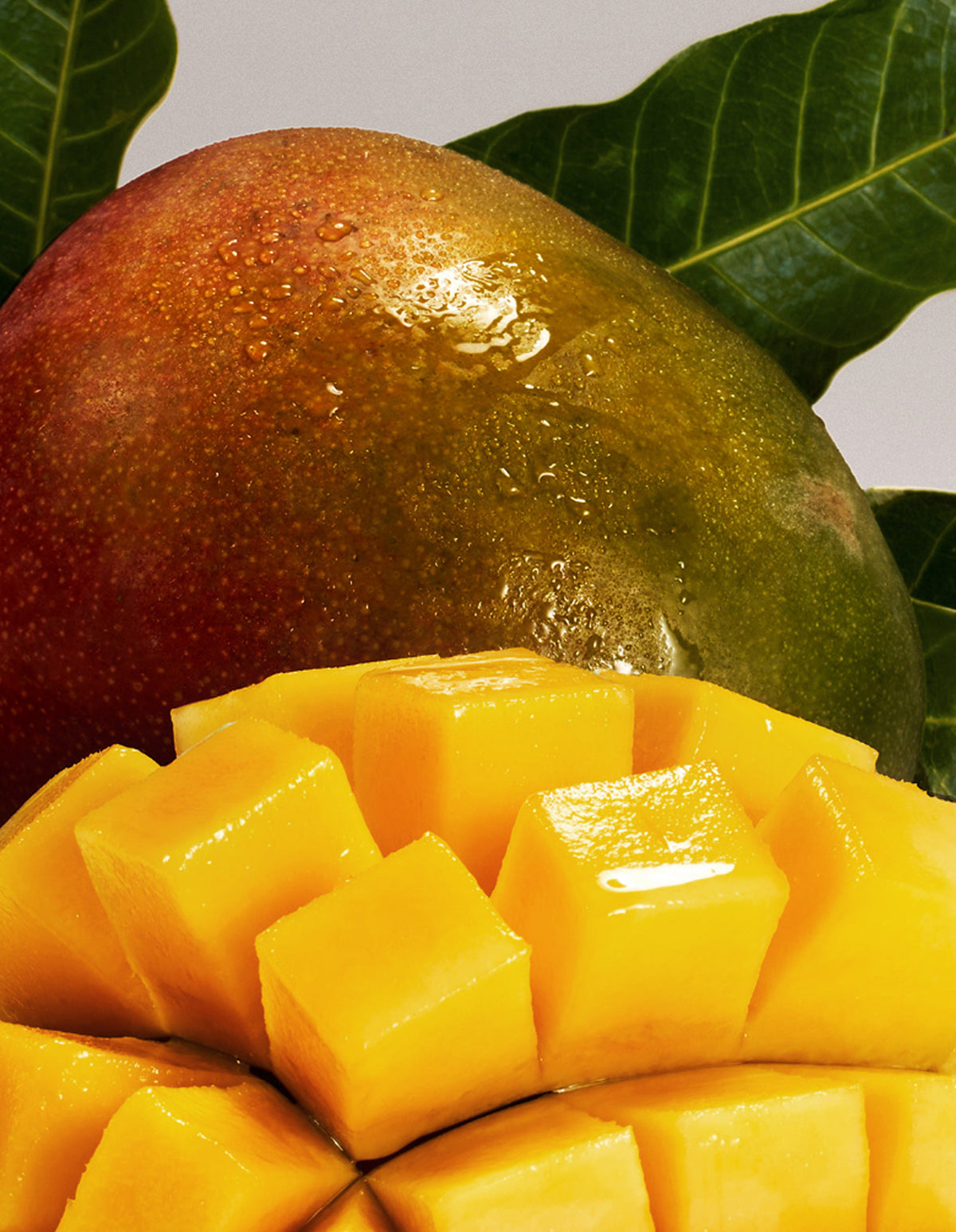 A photo of a close up of the mango cut into cubes in front of a mango with humid moisture droplets on the outside of a mango. 