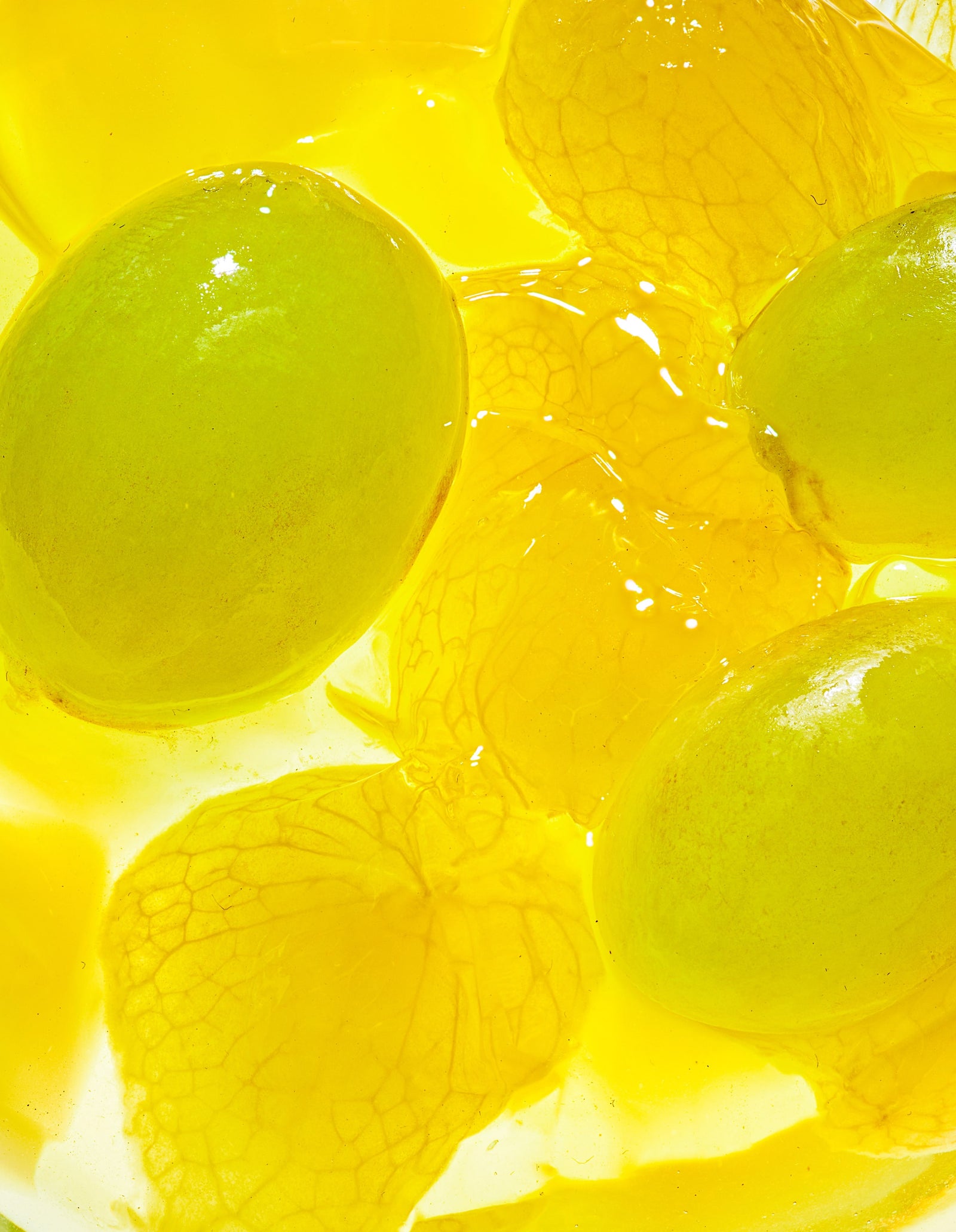 A close-up image of grapes and aloe chunks.