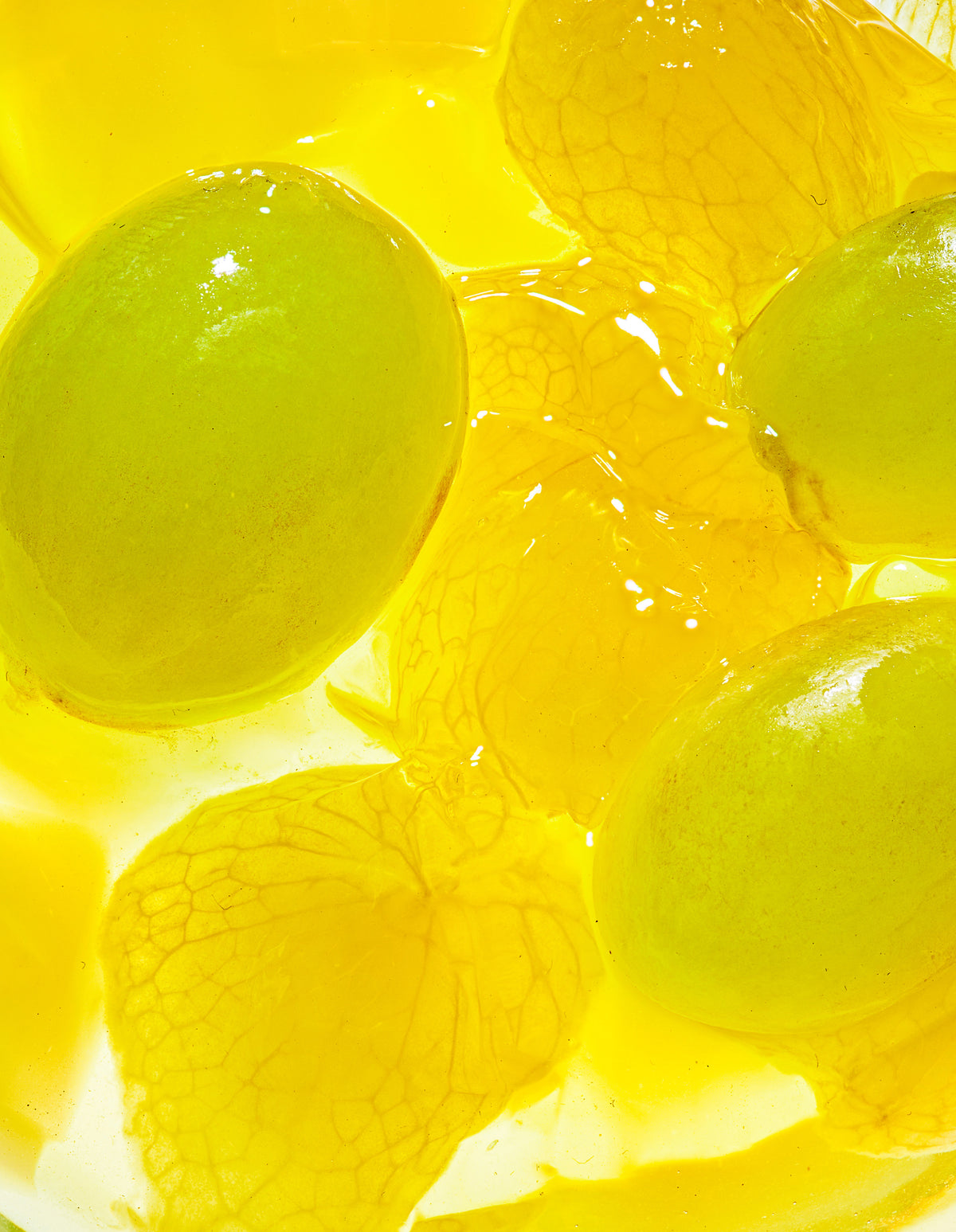A close-up image of grapes and aloe chunks