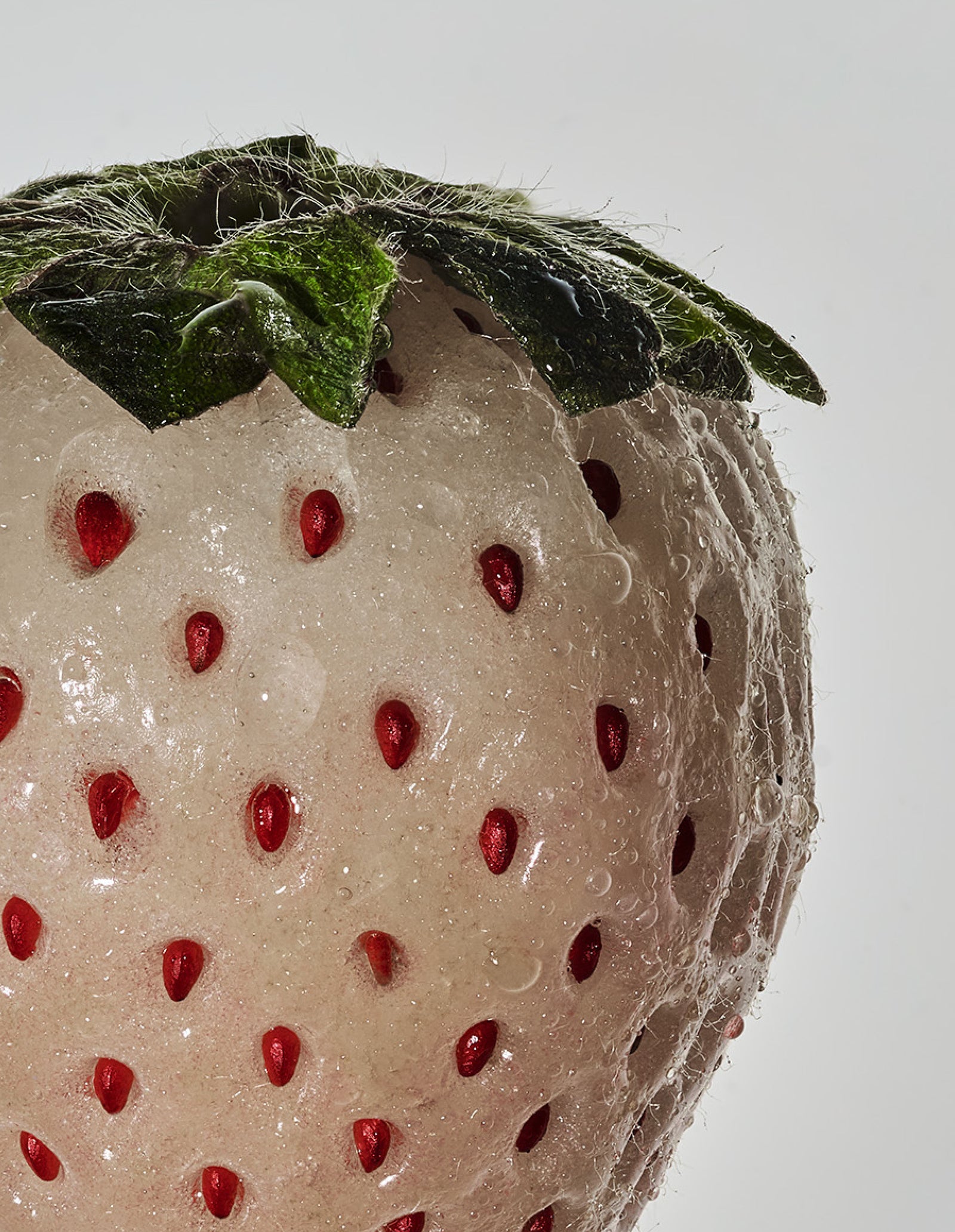 A close-up image of a white strawberry.